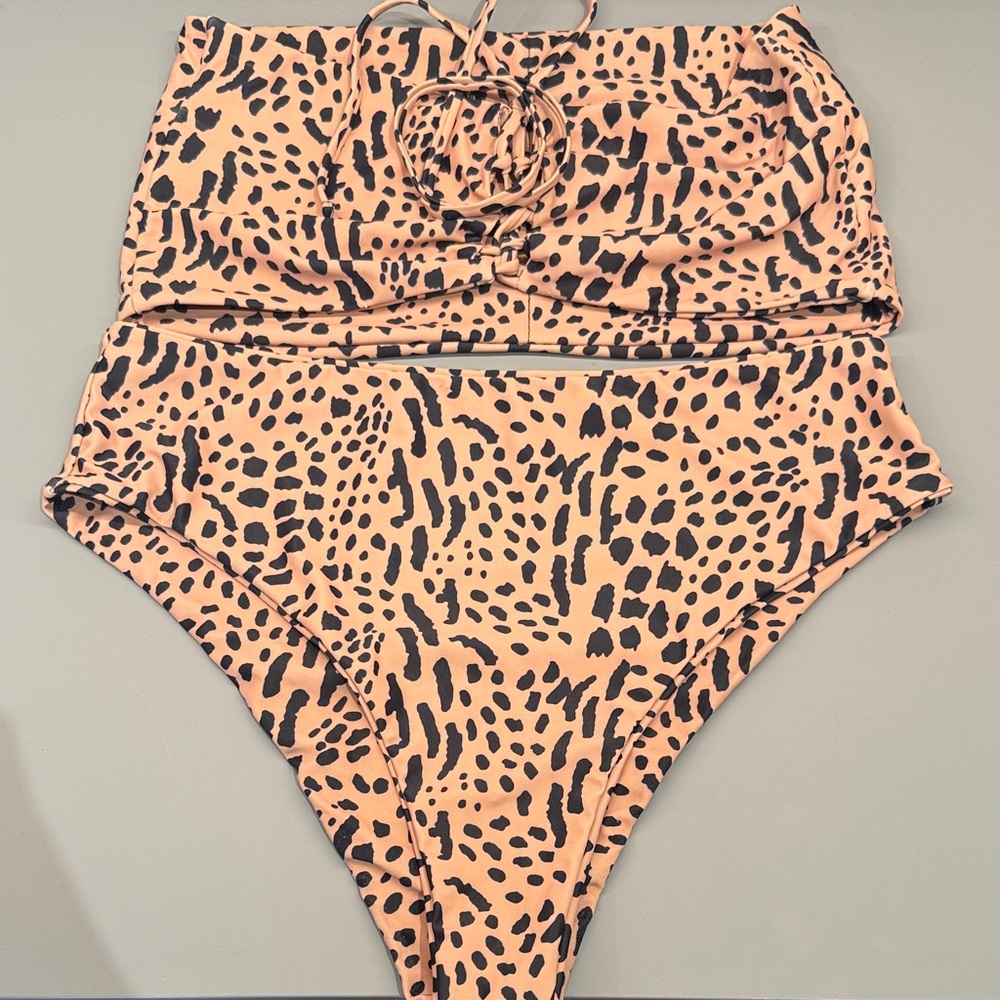 Leopard Print High-Waisted Bikini